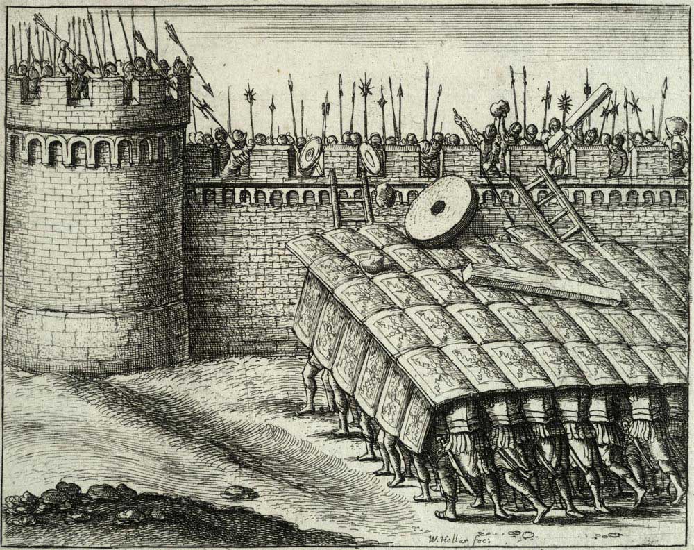 Wenceslas_Hollar_-_A_testudo